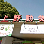 上野動物園値上げ情報