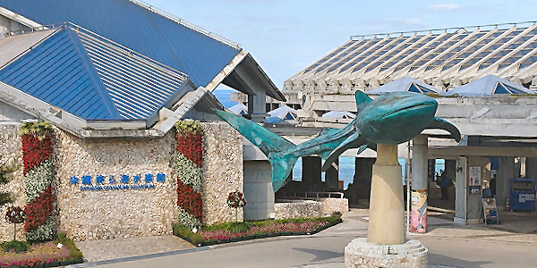 沖縄美ら海水族館の値上げ情報