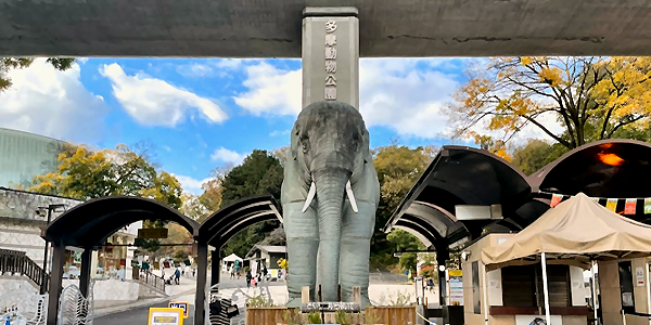 多摩動物公園の値上げ情報